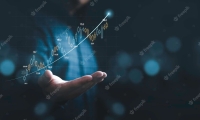 中国中免：2024年上半年净利润32